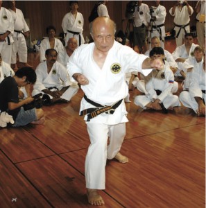 Okinawa Karate Meister